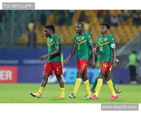 美国与喀麦隆精彩对决直播平台推荐及赛事分析